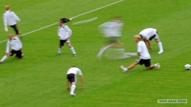 Euro 2008