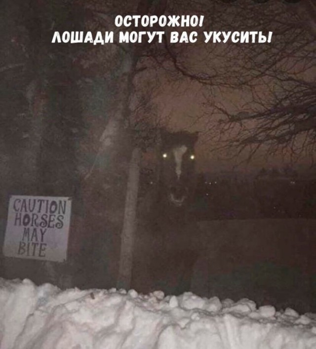 Немного картинок для настроения 04.02.20