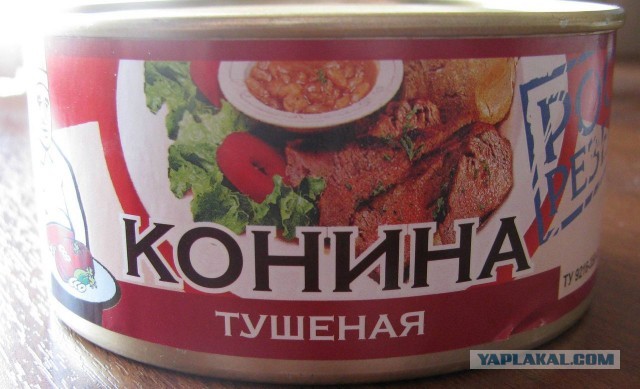 Привет Ксении Собчак от миролюбивых мусульман...
