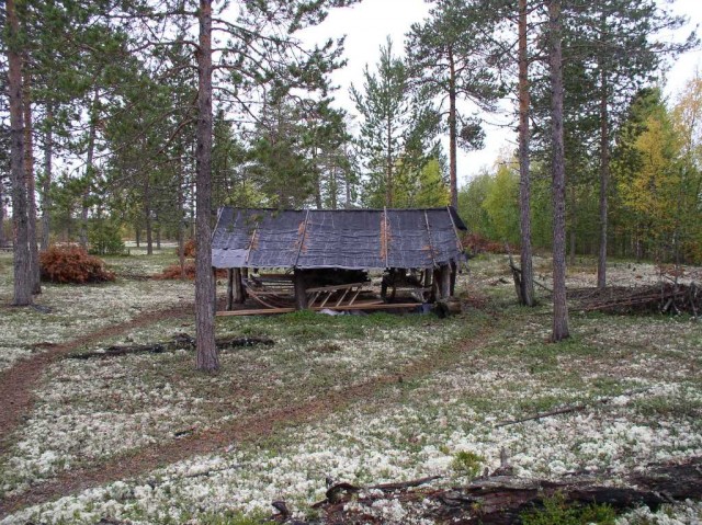 Натурное обследование