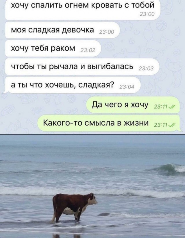 Отовсюду обо всем