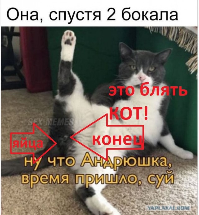 Мемасики от Димасика - Часть 6