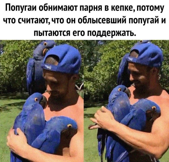 Так себе картинки 22.07.21
