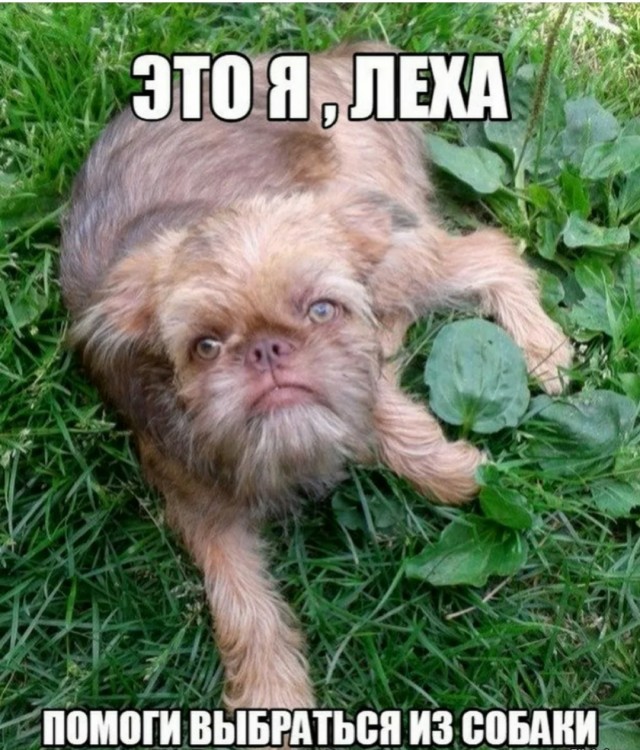 Предлагайте ваши варианты