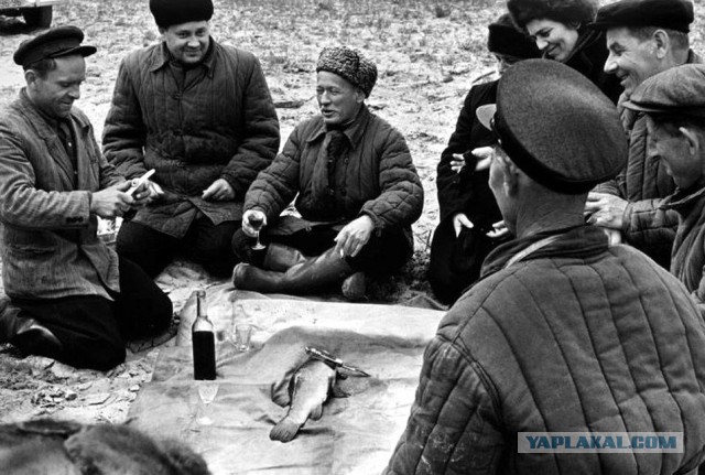 Харош работать! Молодость продолжается!