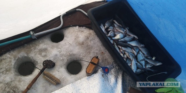 Открыл сезон зимней рыбалки