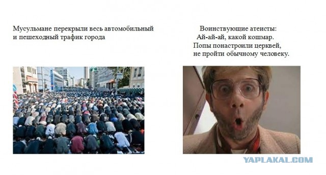 Слава богу, я безбожник #5