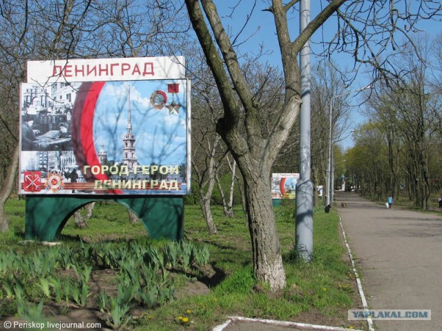 Батарея №411.