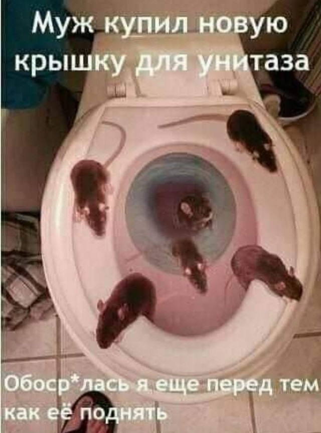 Так себе картинки 18.04.22