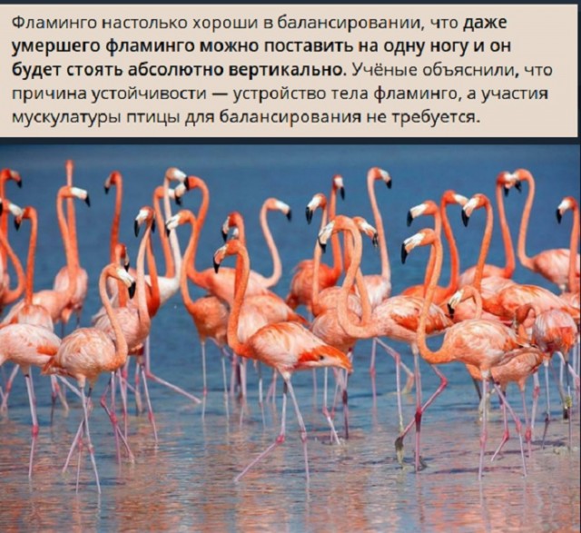 Картинки с надписями и всякие жизненные фразы