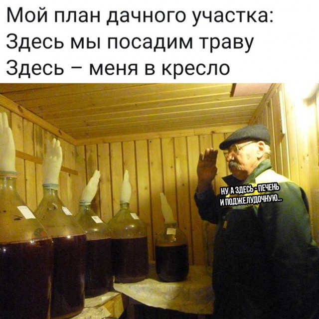 Картинки и мемы, выходные продолжаются