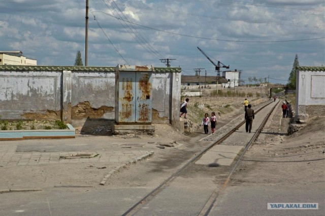 Северная Корея "в цвете"