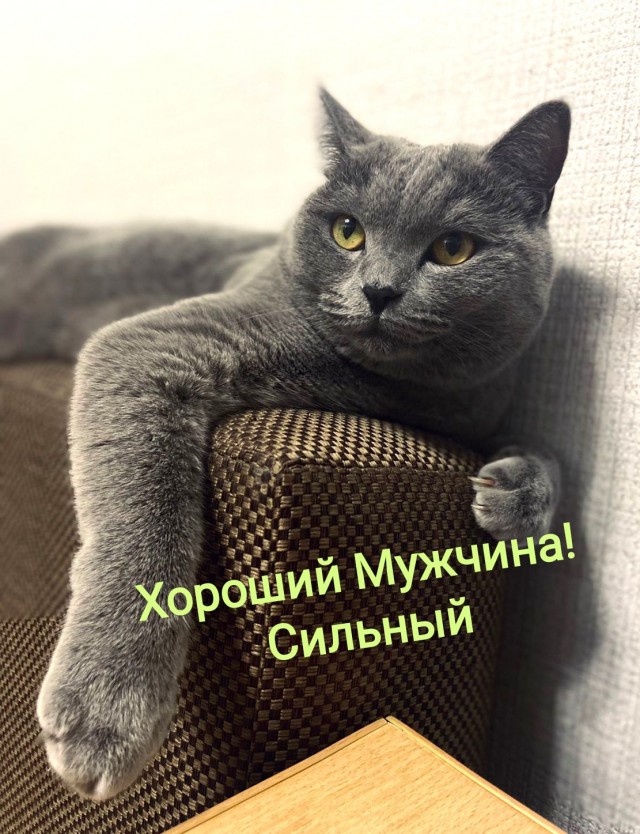 Атлант