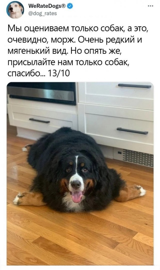 Картинки и мемы для настроения - 107