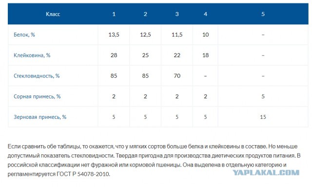 Великое зерновое ограбление. Как СССР чуть не вызвал крах экономики Америки