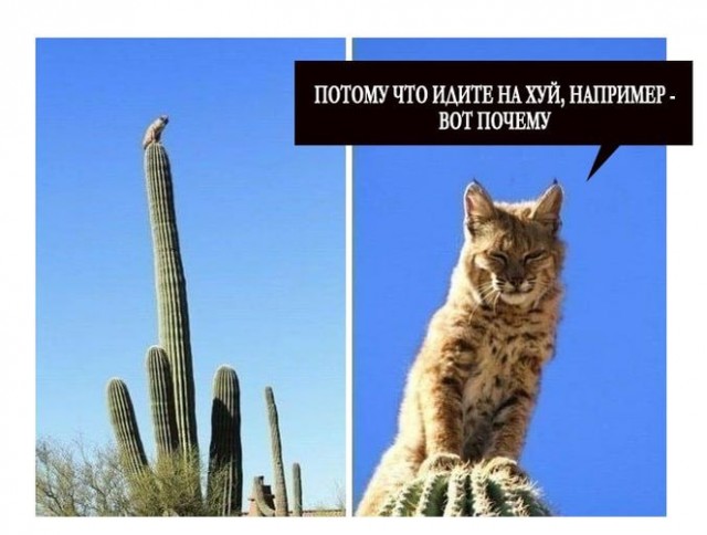 Иди на завод!