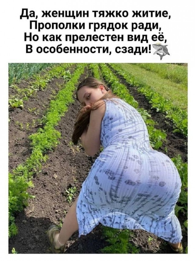 Юмор в картинках и без
