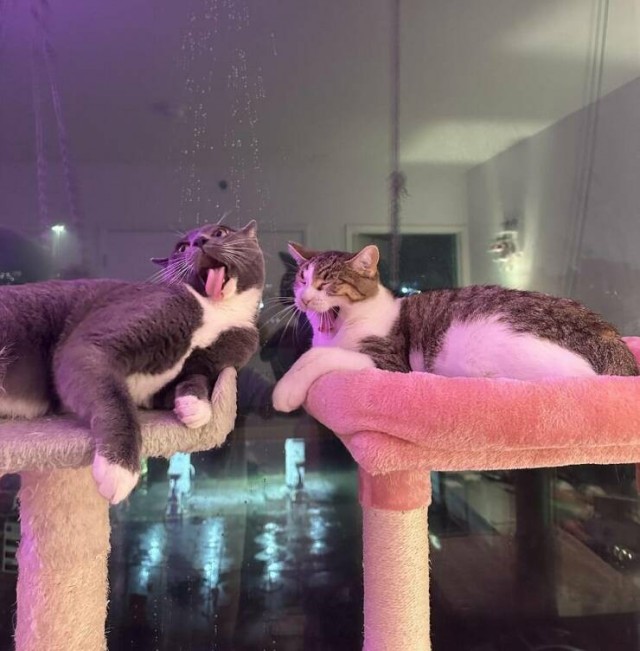 Подборка интересных и прикольных фото из Сети 01.04.23