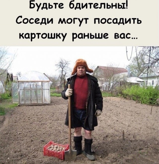 Дачникам напомнили о штрафах за туалет и другие поводы: что нельзя делать на участке