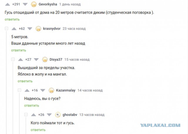 Сбила гуся и счастлива⁠⁠