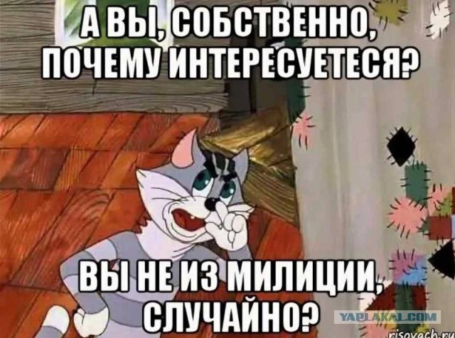 Кто на чём передвигается?