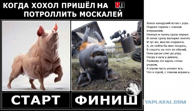 VPost: ЕС полностью запретит транзит санкционных грузов по территории РФ
