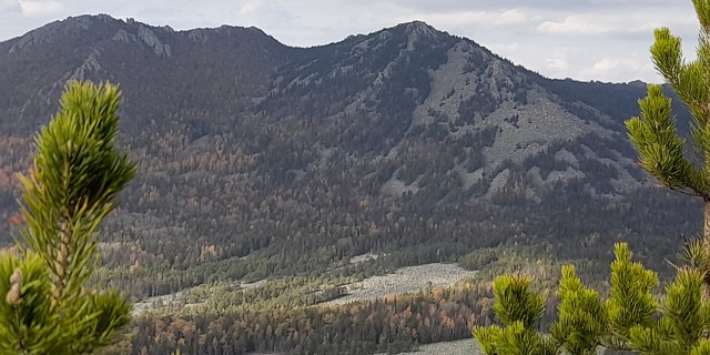 Краски осени