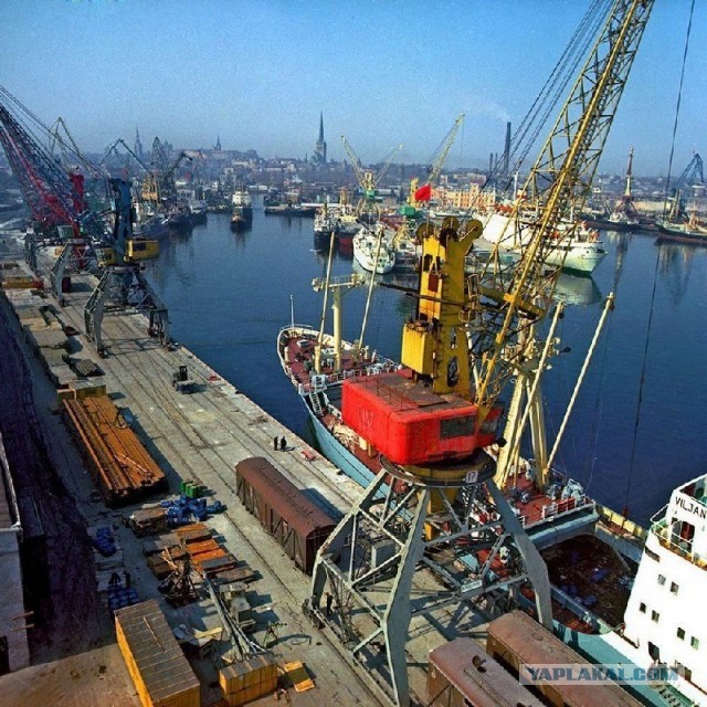 Фотографии из прошлого нашей страны - 40