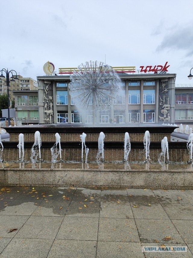 Диагноз: Саратов