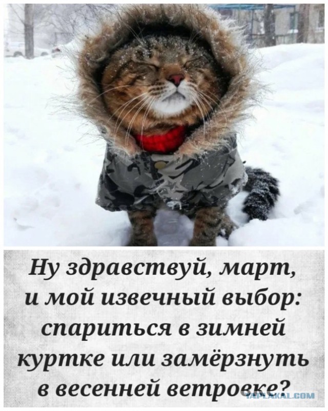 8 Марта близко-близко...