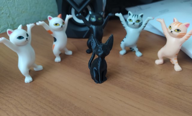 Всех с котовторником