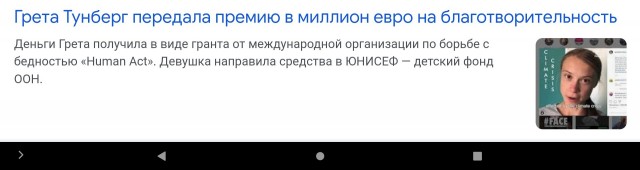Грету Тунберг задержали в Гааге