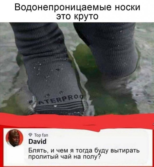 Немного забавных картинок от 13.10.2024