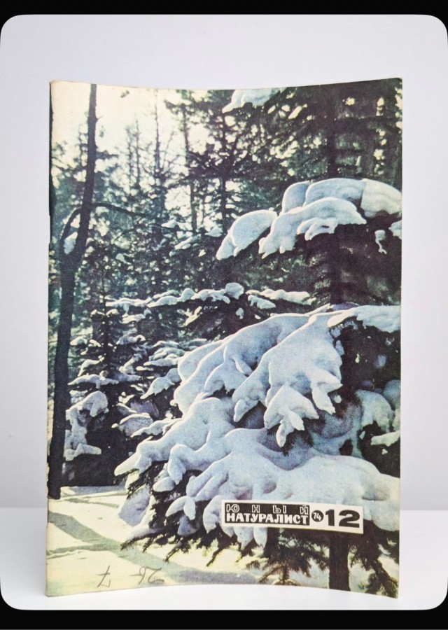 50 лет назад. Декабрь 1974 года