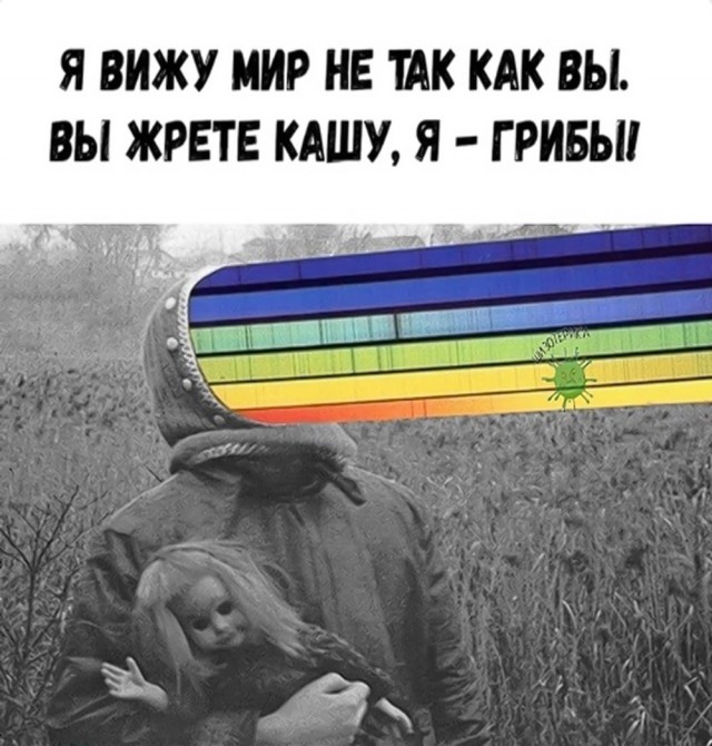 Прикольные и просто красивые картинки 17.01.2025