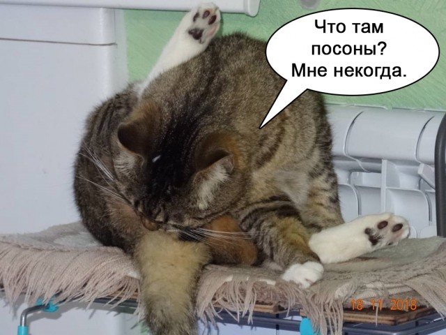 Ты смотри, чё кожаный делает