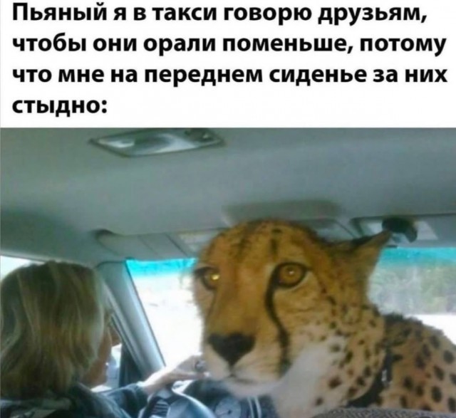 Завалялось тут случайно немного забавных картинок