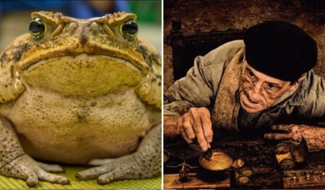 Откуда пошло выражение "жаба душит"