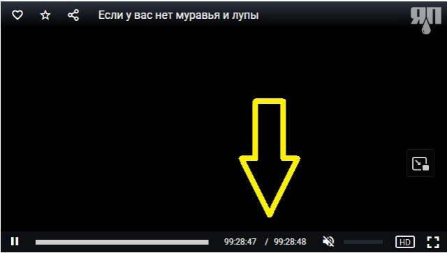 Случай в демократичной, свободной Америке