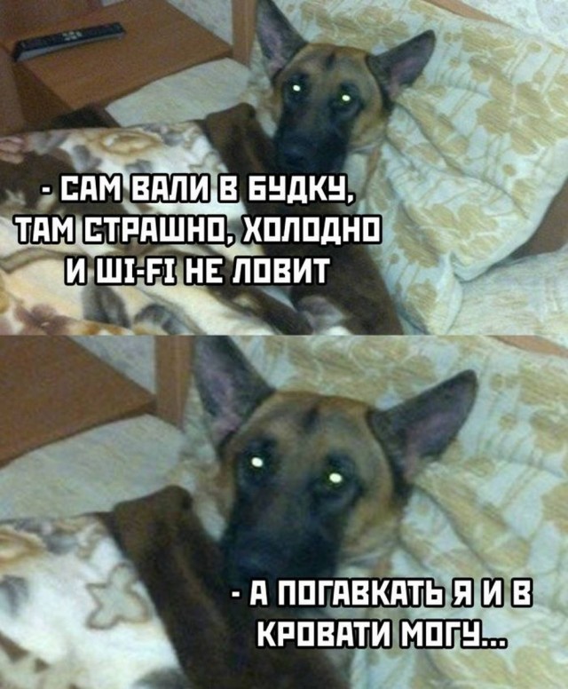 Картинки для деградации 43 (разной степени свежести)