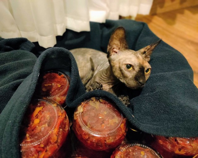 Вторник и тёплые закатки .