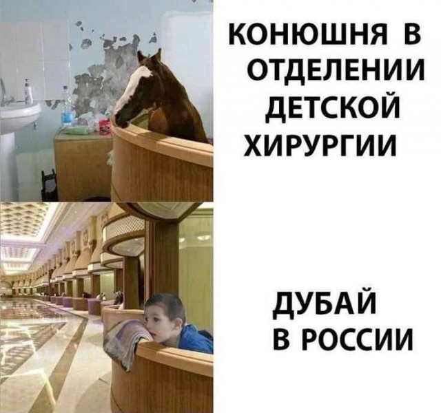 В Новой Москве обрушилась крыша в недавно построенной конюшне.