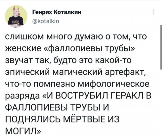 Веселые картинки в первый день октября (01.10)