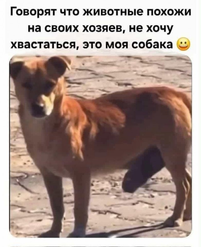 Маленькая пятница 5.11