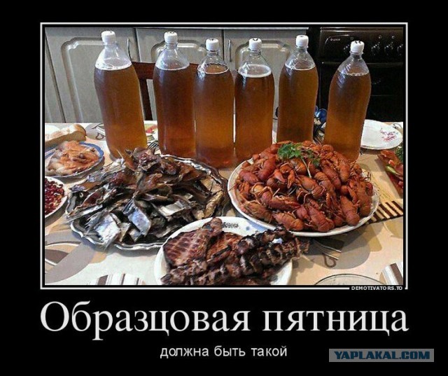 Совместимость алкогольных привычек делает брак стабильным