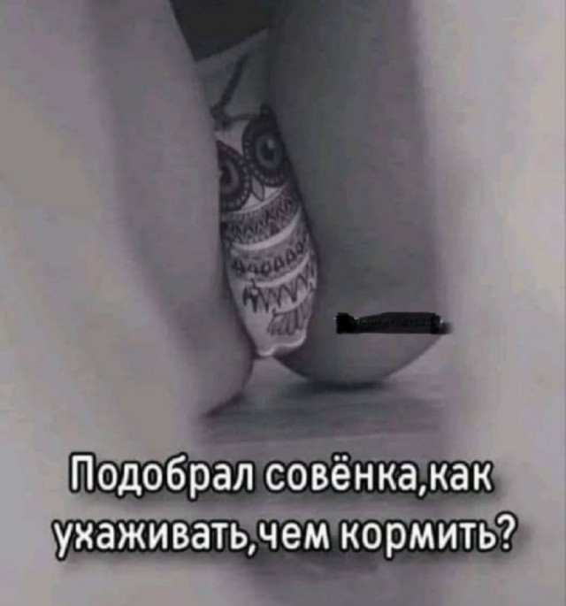 Так себе картинки 16.12.25