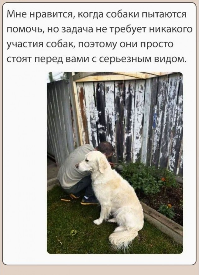 Понедельника картинки