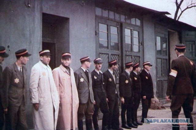 Красный Полумесяц сообщил о сотнях погибших детей в Иране