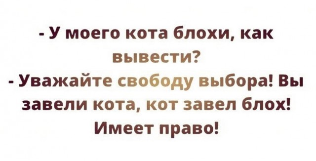 Картиночки, баянчики 10 апреля