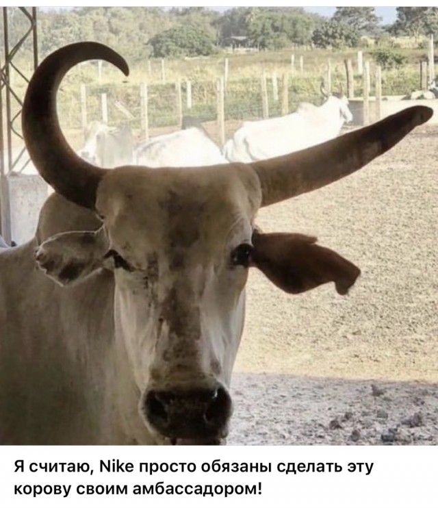 Вторника картинки